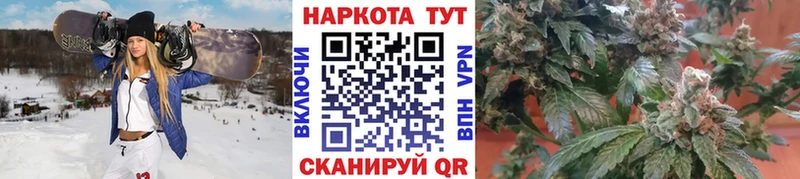 Где продают наркотики Ртищево СК  Галлюциногенные грибы  NBOMe  Мефедрон  МАРИХУАНА 